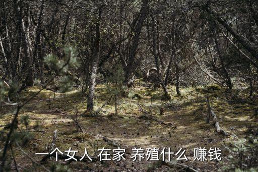 在家養殖賺錢,在農村養殖鴿子和烏骨雞有人養有人賺?