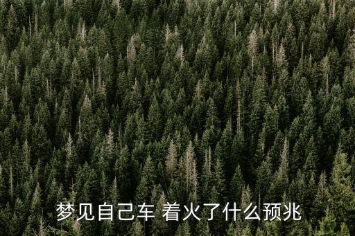 夢見車著火,夢想之車著火是好兆頭男子有過這個夢想