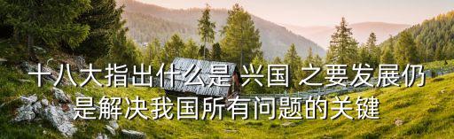 十八大指出什么是 興國 之要發(fā)展仍是解決我國所有問題的關(guān)鍵