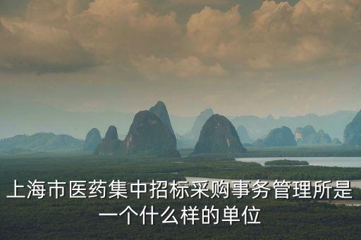 上海市藥招所，請問上海民聘藥房在什么地方