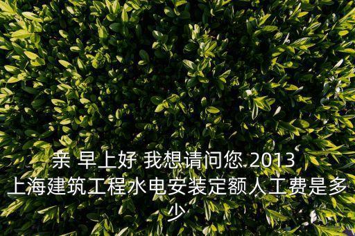親 早上好 我想請(qǐng)問您 2013 上海建筑工程水電安裝定額人工費(fèi)是多少