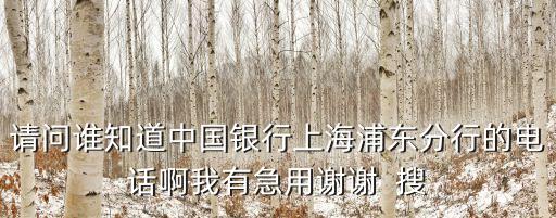 請問誰知道中國銀行上海浦東分行的電話啊我有急用謝謝  搜