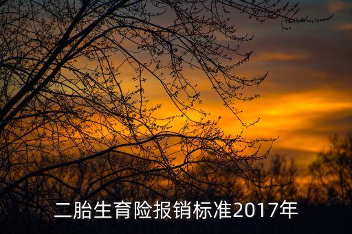 上海市二胎生育險報銷標準，二胎生育險報銷標準2017年