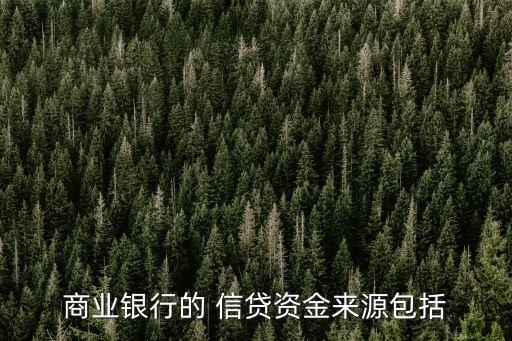 信貸資金,業(yè)者為應(yīng)對短期資金短缺而向其他金融機(jī)構(gòu)借入貸款