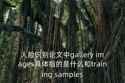 人臉識別論文，人臉識別論文中gallery images具體指的是什么和training samples