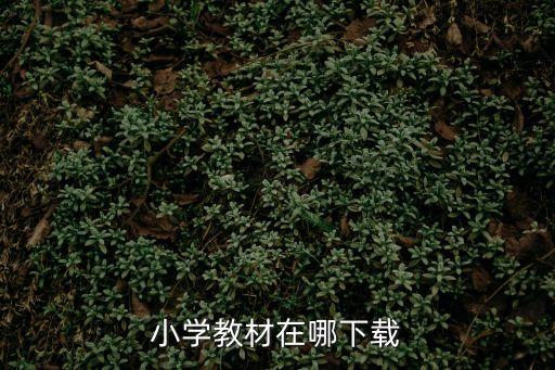 小學教材在哪下載
