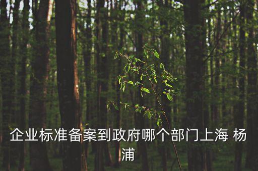 企業(yè)標(biāo)準(zhǔn)備案到政府哪個(gè)部門上海 楊浦
