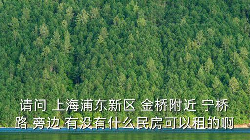上海市金橋路租房，上海浦東新區(qū)金橋那的房租怎樣房源多么