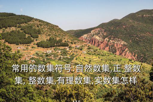 正整數(shù)集,所有非負(fù)整數(shù)的集合稱為自然數(shù)集