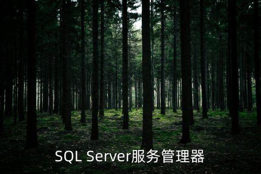 SQL Server服務管理器