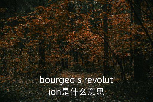 英國資產階級革命，bourgeois revolution是什么意思