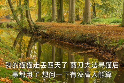 我的貓貓走丟四天了 剪刀大法尋貓啟事都用了 想問一下有沒高人能算