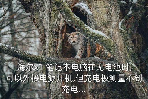 海爾筆記本電腦,剩余電量放電后再插入電源適配器測試一下