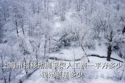 上海市定額人工單價是多少，親 早上好 我想請問您 2013 上海建筑工程水電安裝定額人工費是多少