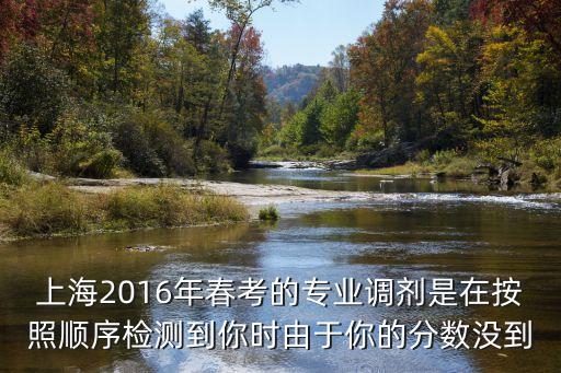 2016上海市政調劑，考研調劑今年市政工程專碩只考了308按照往年的情況可以往哪