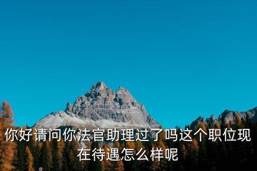 上海市法院法官助理吧，你好請問你法官助理過了嗎這個職位現在待遇怎么樣呢