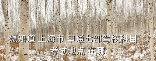 上海市申通駕校淀河路，想知道 上海市 申通七部駕?？颇恳豢荚嚨攸c 在哪