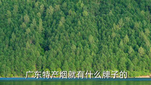 廣東煙,星寶、廣州灣卷煙未能入選廣東煙草五大品牌