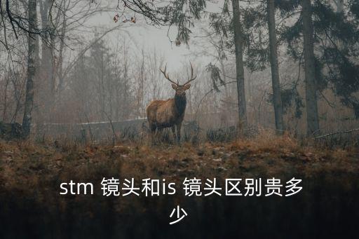  stm 鏡頭和is 鏡頭區(qū)別貴多少