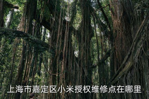 上海市嘉定區(qū)小米授權(quán)維修點(diǎn)在哪里