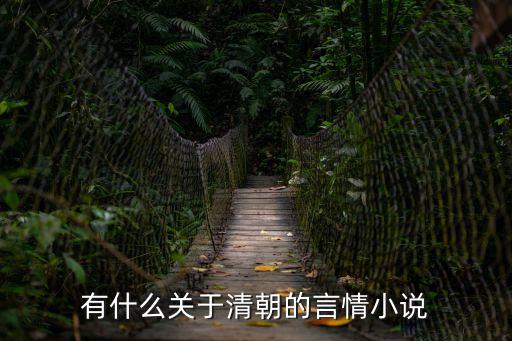 有什么關(guān)于清朝的言情小說