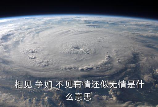 相見爭如不見,相見爭如不見，愛有多無情