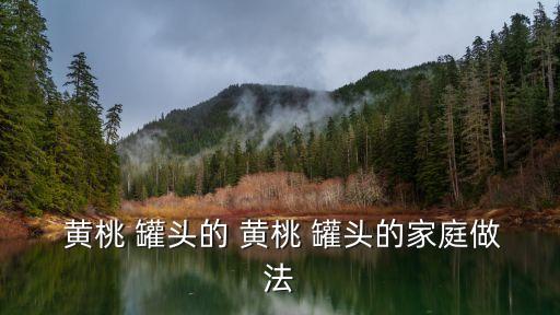 黃桃罐頭制作方法,在家就可以制作水果罐頭黃桃罐頭做法如下