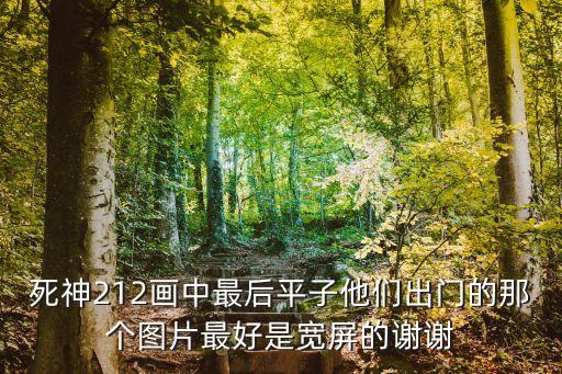 死神212畫中最后平子他們出門的那個圖片最好是寬屏的謝謝