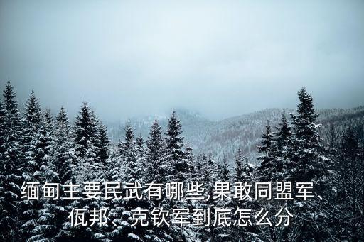 佤邦地圖,緬軍控制的武裝力量佤邦審判委員會正式成立