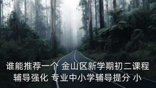 上海市金山區(qū)金山初級中學(xué)江瑛，誰能推薦一個 金山區(qū)新學(xué)期初二課程輔導(dǎo)強(qiáng)化 專業(yè)中小學(xué)輔導(dǎo)提分 小
