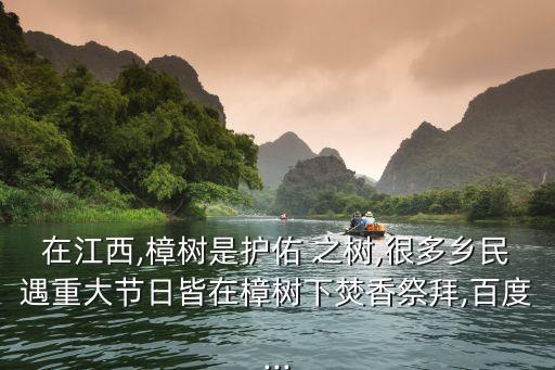 祭祀之樹(shù),亞洲樹(shù)王樟樹(shù)是被神化的靈魂之樹(shù)被安徽泉州人種植