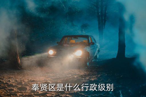 上海市行政村什么級別，奉賢區是什么行政級別