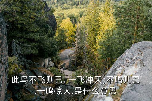 一飛沖天的意思,此鳥已飛，一飛沖天!