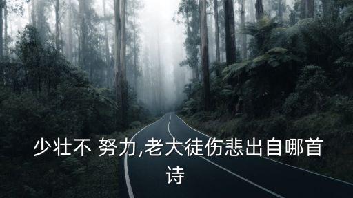  少壯不 努力,老大徒傷悲出自哪首詩