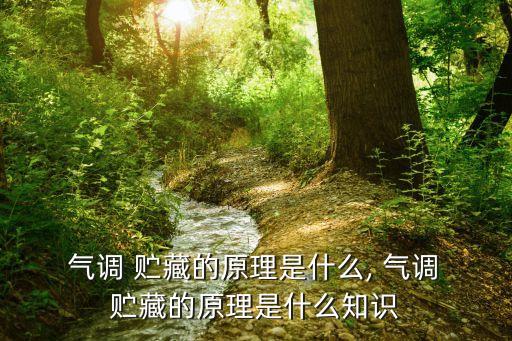  氣調 貯藏的原理是什么, 氣調 貯藏的原理是什么知識