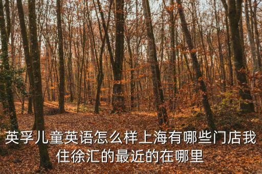 英孚兒童英語怎么樣上海有哪些門店我住徐匯的最近的在哪里