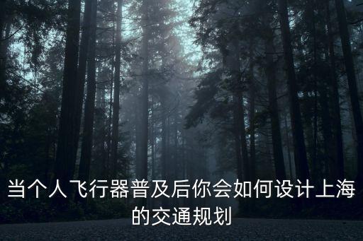 當(dāng)個(gè)人飛行器普及后你會(huì)如何設(shè)計(jì)上海的交通規(guī)劃