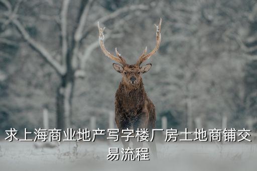 上海市工業(yè)廠房轉(zhuǎn)讓交易，求上海商業(yè)地產(chǎn)寫字樓廠房土地商鋪交易流程