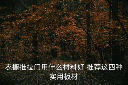 衣櫥推拉門用什么材料好 推薦這四種實(shí)用板材