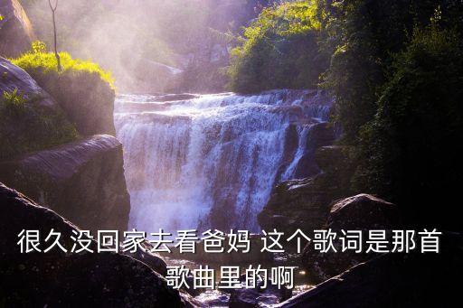 很久沒回家去看爸媽 這個歌詞是那首歌曲里的啊