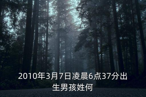 何辛，2010年3月7日凌晨6點37分出生男孩姓何