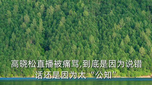 高曉松事件,網(wǎng)上太多人罵罵他被判拘役半年