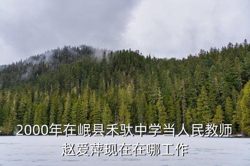 2000年在岷縣禾馱中學當人民教師趙愛萍現在在哪工作