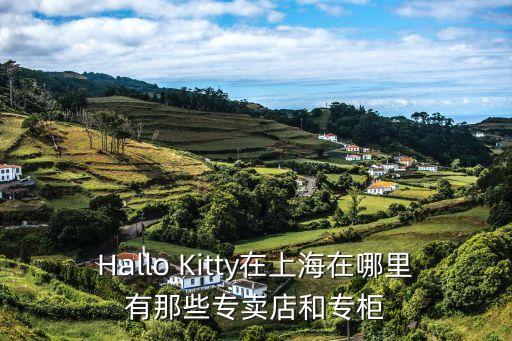 Hallo Kitty在上海在哪里有那些專賣店和專柜