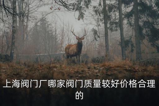 上海閥門廠哪家閥門質(zhì)量較好價格合理的