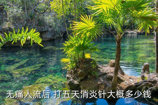 無痛針多少錢一針，無痛人流后 打五天消炎針大概多少錢