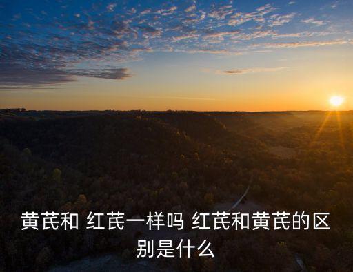 黃芪和 紅芪一樣嗎 紅芪和黃芪的區(qū)別是什么