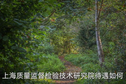 上海質量監督檢驗技術研究院待遇如何