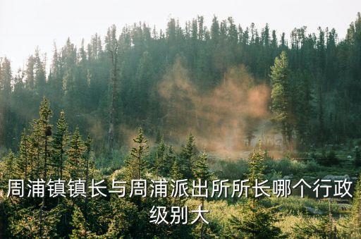 周浦鎮鎮長與周浦派出所所長哪個行政級別大