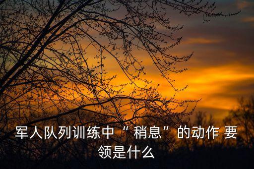 軍人隊列訓(xùn)練中“ 稍息”的動作 要領(lǐng)是什么